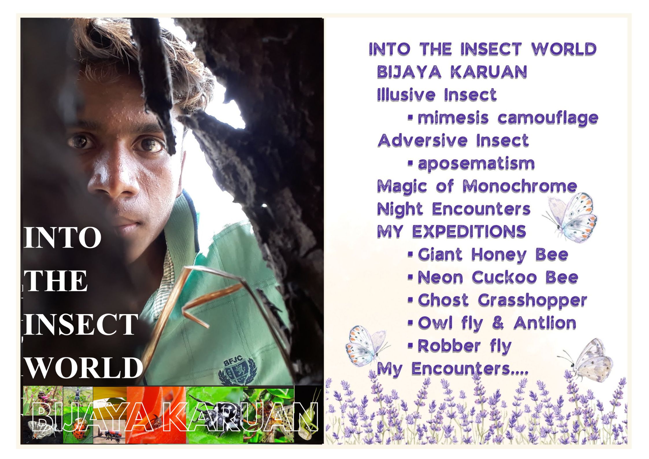 Into the Insect World