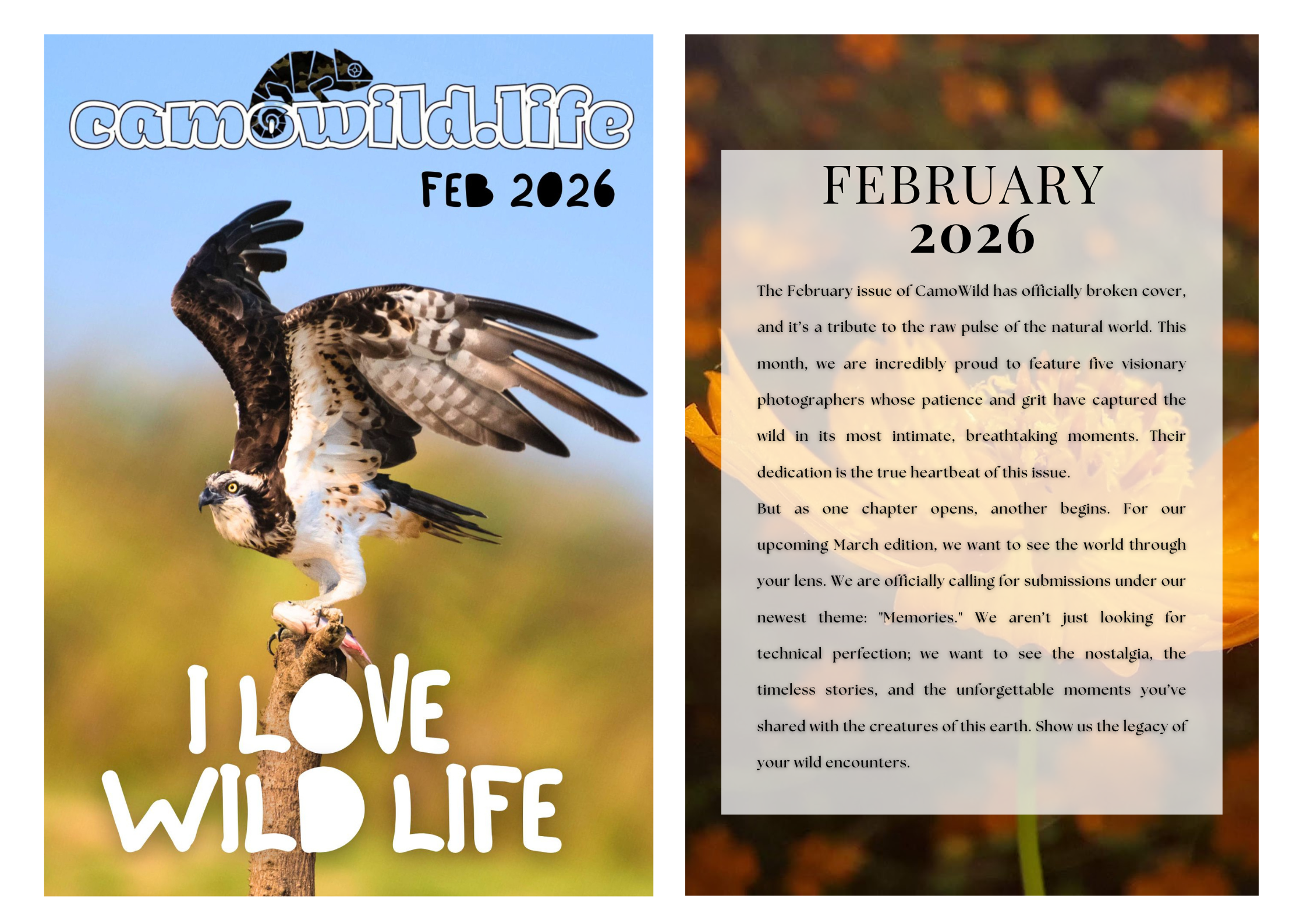 I LOVE WILDLIFE FEBRUARY 2026